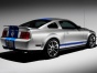 Ford Shelby фото