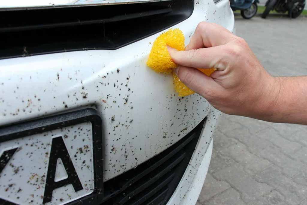 Как правильно оттирать следы насекомых с авто?